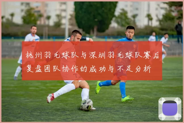 杭州羽毛球队与深圳羽毛球队赛后复盘团队协作的成功与不足分析