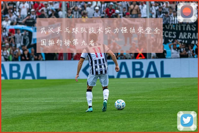 武汉乒乓球队技术实力强劲荣登全国排行榜第九名