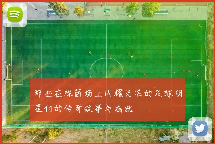 那些在绿茵场上闪耀光芒的足球明星们的传奇故事与成就