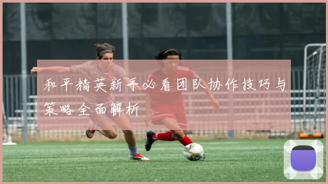 和平精英新手必看团队协作技巧与策略全面解析