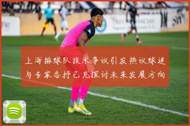 上海排球队技术争议引发热议球迷与专家各抒己见探讨未来发展方向