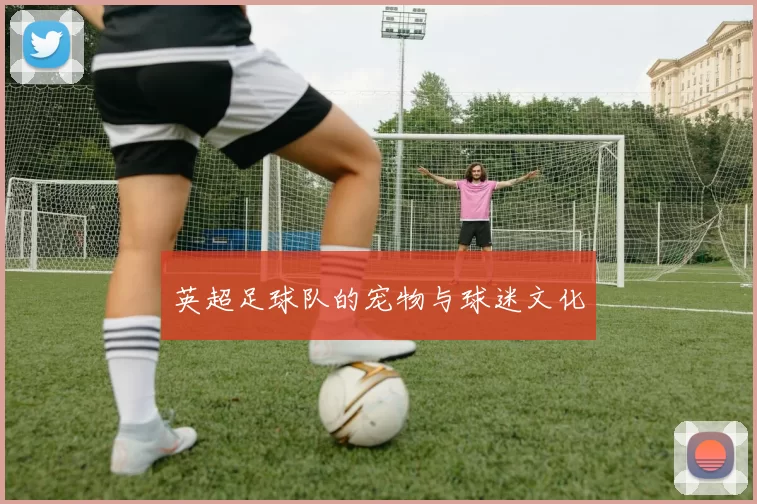 英超足球队的宠物与球迷文化