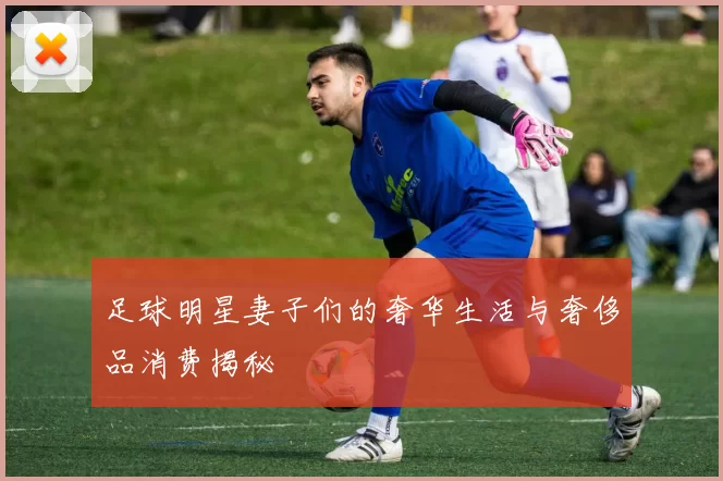 足球明星妻子们的奢华生活与奢侈品消费揭秘