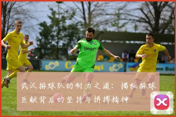 武汉排球队的耐力之道：揭秘排球巨献背后的坚持与拼搏精神