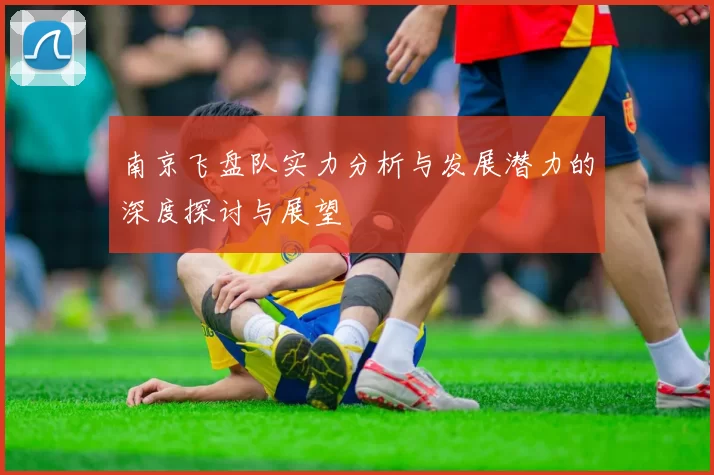 南京飞盘队实力分析与发展潜力的深度探讨与展望