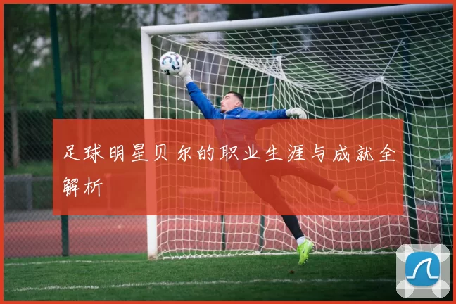 足球明星贝尔的职业生涯与成就全解析