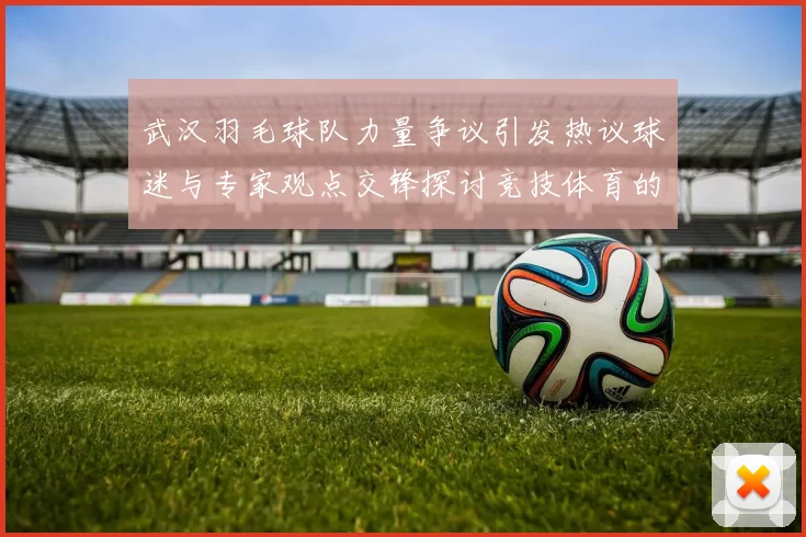 武汉羽毛球队力量争议引发热议球迷与专家观点交锋探讨竞技体育的公平性