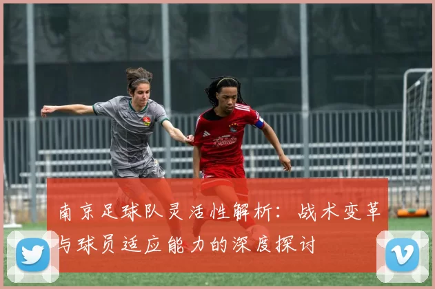 南京足球队灵活性解析：战术变革与球员适应能力的深度探讨
