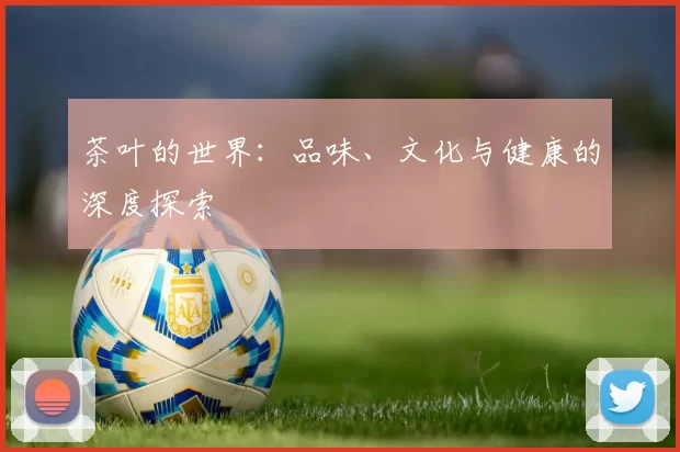 茶叶的世界：品味、文化与健康的深度探索