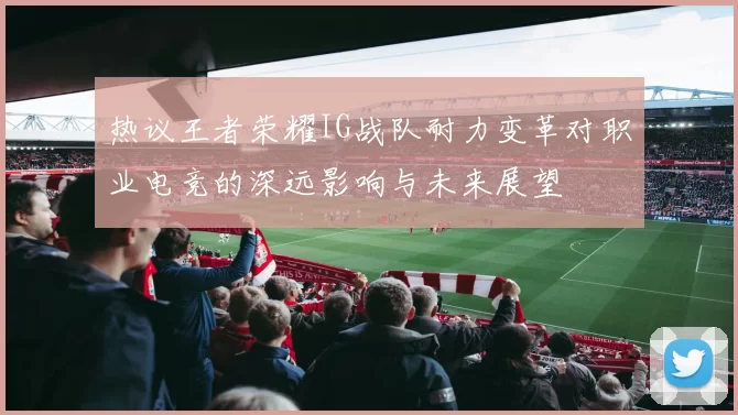 热议王者荣耀IG战队耐力变革对职业电竞的深远影响与未来展望