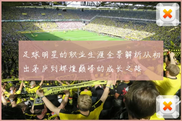 足球明星的职业生涯全景解析从初出茅庐到辉煌巅峰的成长之路