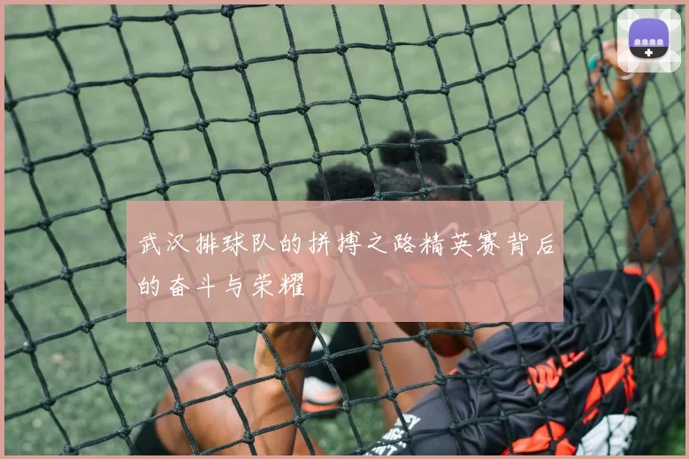武汉排球队的拼搏之路精英赛背后的奋斗与荣耀