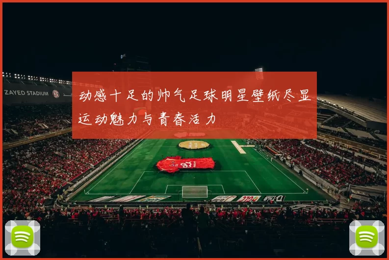 动感十足的帅气足球明星壁纸尽显运动魅力与青春活力