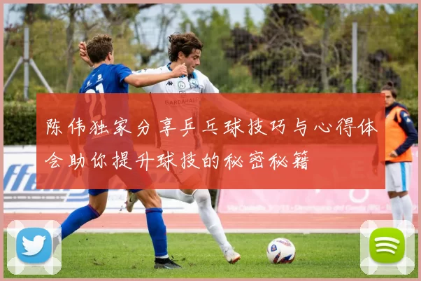 陈伟独家分享乒乓球技巧与心得体会助你提升球技的秘密秘籍