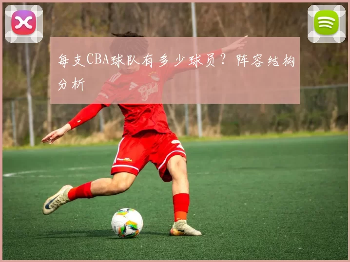 每支CBA球队有多少球员？阵容结构分析