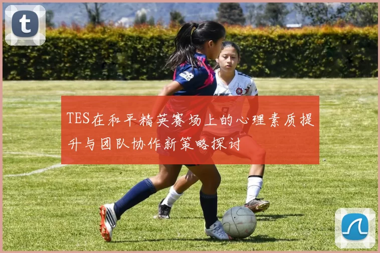 TES在和平精英赛场上的心理素质提升与团队协作新策略探讨