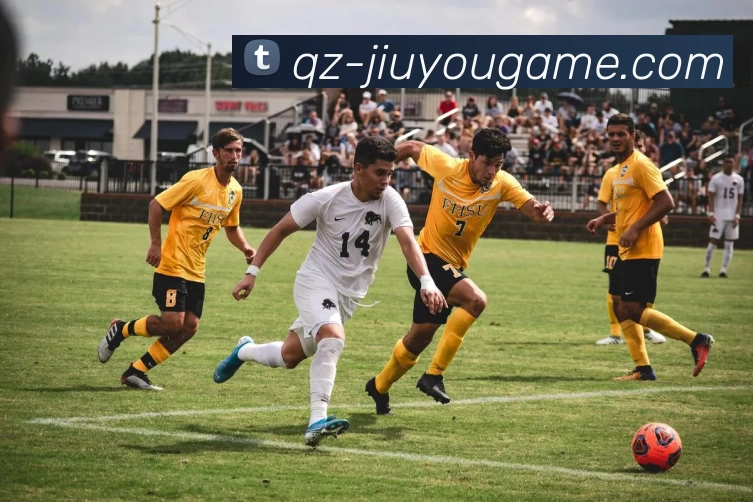 多媒体互动体验